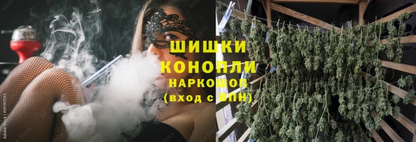 ПСИЛОЦИБИНОВЫЕ ГРИБЫ Арсеньев