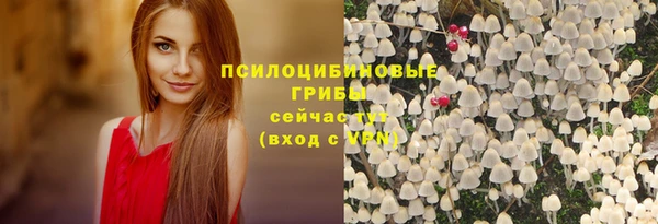 меф Армянск