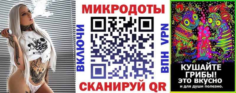 закладка  Артёмовск  Галлюциногенные грибы Cubensis 